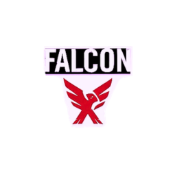 Partenaire FALCON